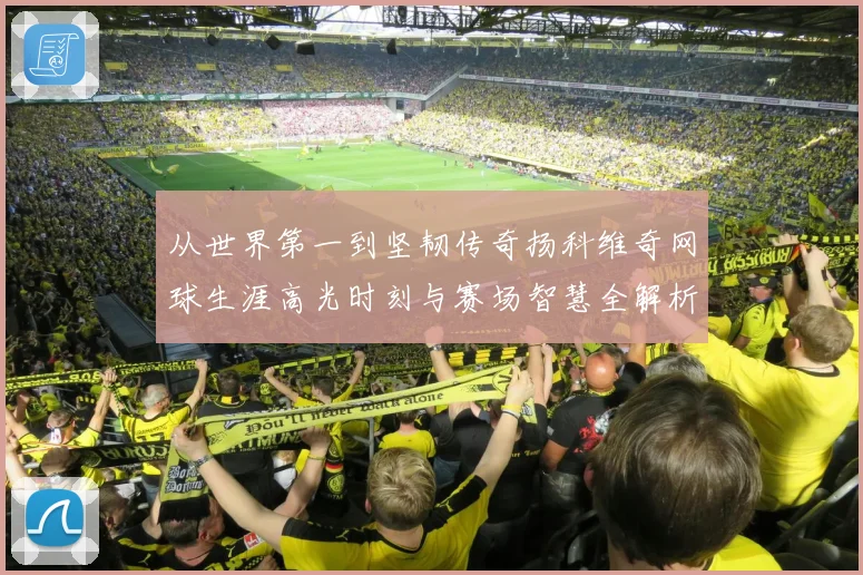 从世界第一到坚韧传奇扬科维奇网球生涯高光时刻与赛场智慧全解析